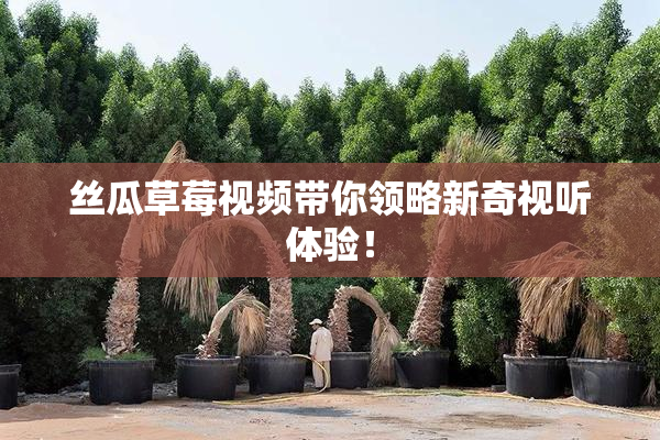 丝瓜草莓视频带你领略新奇视听体验！