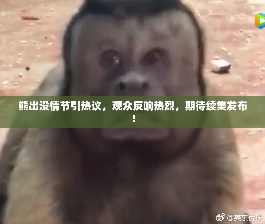 熊出没情节引热议，观众反响热烈，期待续集发布！