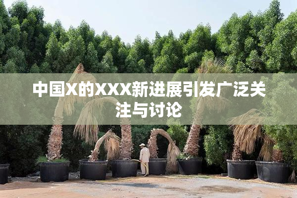 中国X的XXX新进展引发广泛关注与讨论