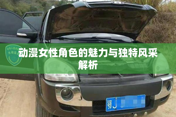 动漫女性角色的魅力与独特风采解析