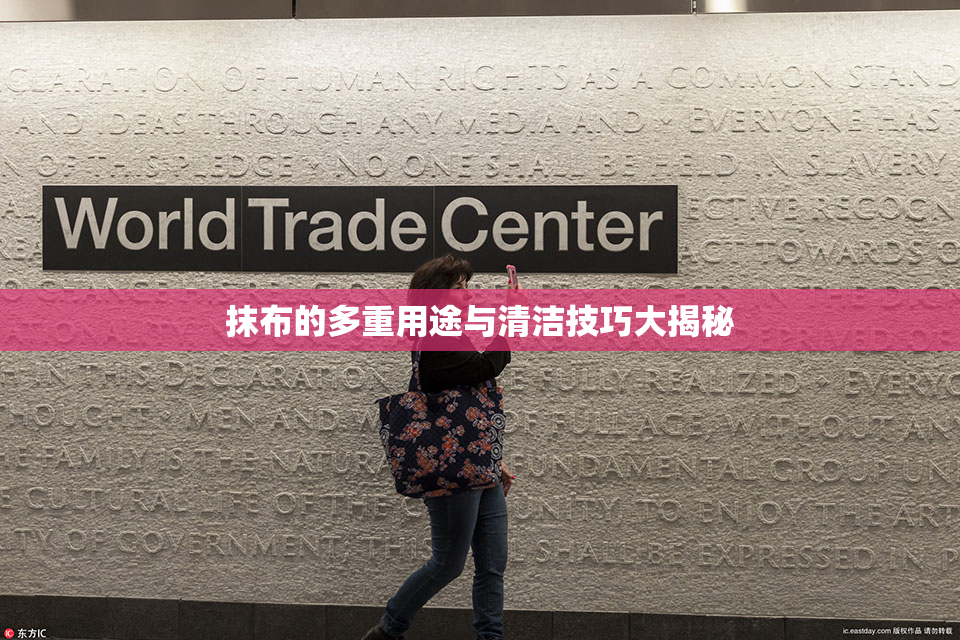 抹布的多重用途与清洁技巧大揭秘