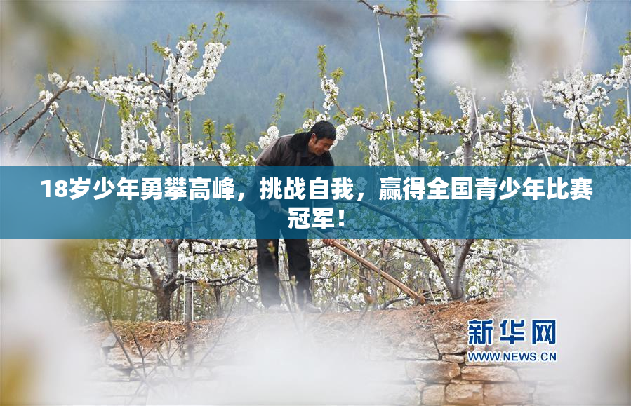 18岁少年勇攀高峰，挑战自我，赢得全国青少年比赛冠军！