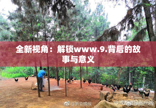 全新视角：解锁www.9.背后的故事与意义
