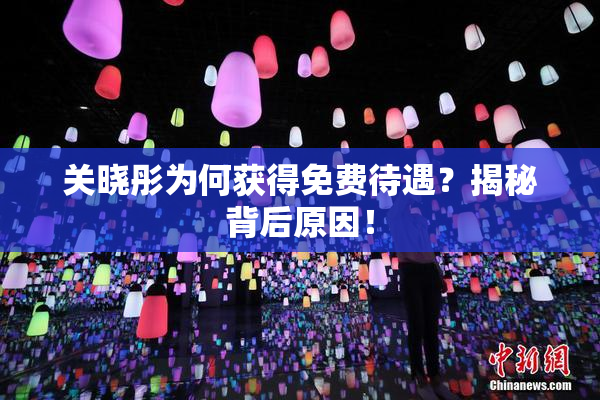 关晓彤为何获得免费待遇？揭秘背后原因！