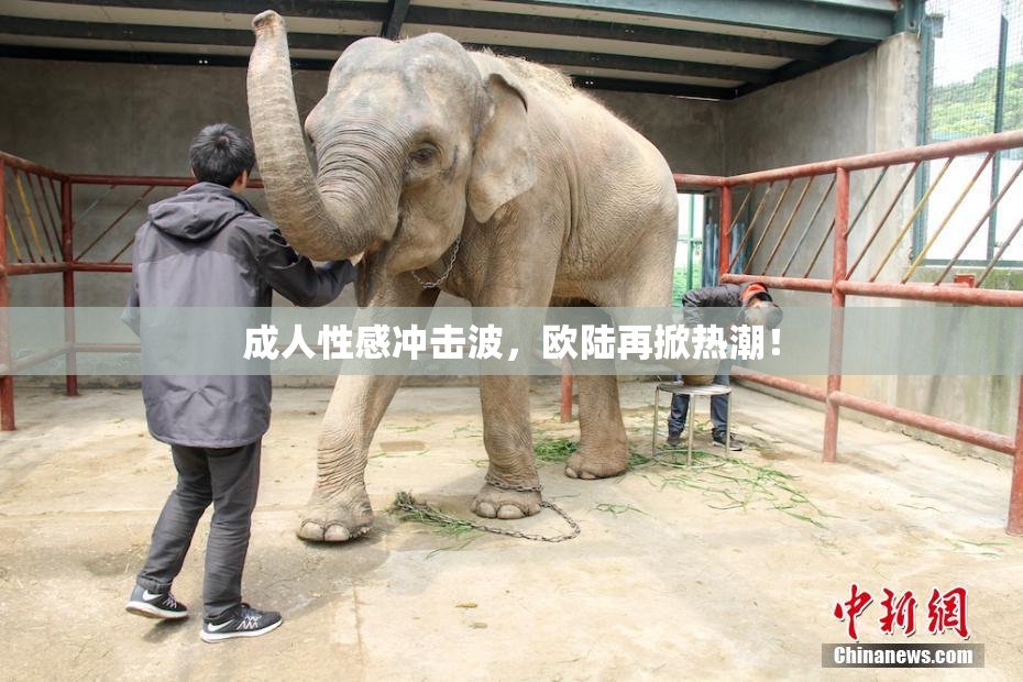 成人性感冲击波，欧陆再掀热潮！