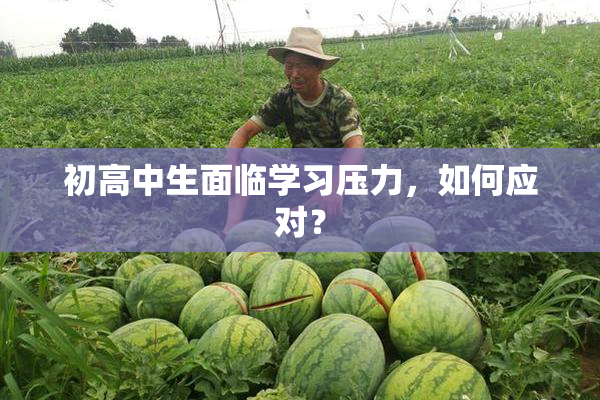 初高中生面临学习压力，如何应对？