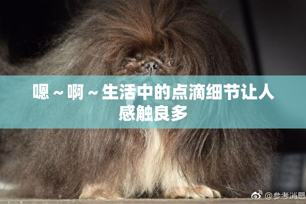 嗯～啊～生活中的点滴细节让人感触良多