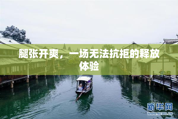 腿张开爽，一场无法抗拒的释放体验