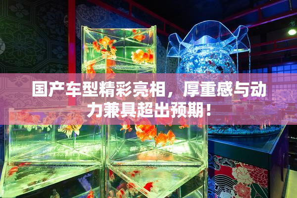 国产车型精彩亮相，厚重感与动力兼具超出预期！