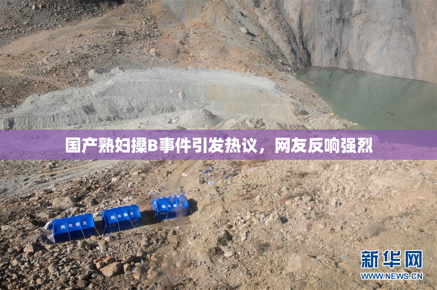 国产熟妇搡B事件引发热议，网友反响强烈