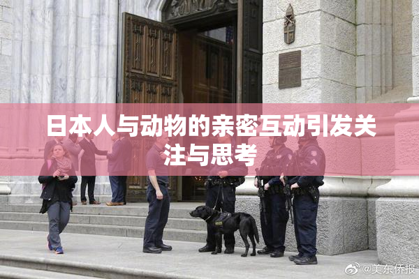 日本人与动物的亲密互动引发关注与思考