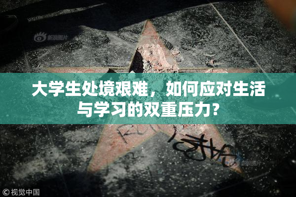 大学生处境艰难，如何应对生活与学习的双重压力？