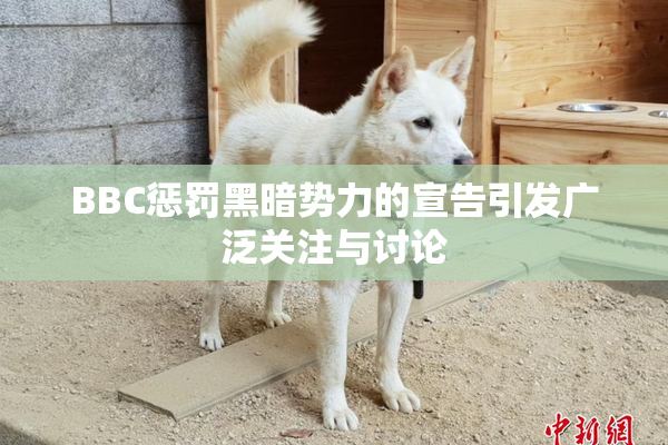 BBC惩罚黑暗势力的宣告引发广泛关注与讨论