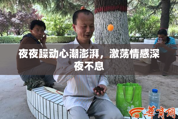 夜夜躁动心潮澎湃，激荡情感深夜不息