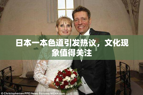 日本一本色道引发热议，文化现象值得关注