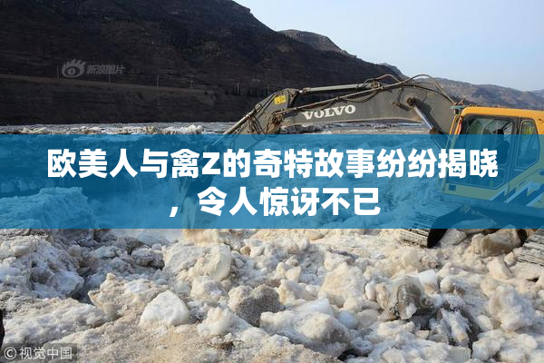 欧美人与禽Z的奇特故事纷纷揭晓，令人惊讶不已