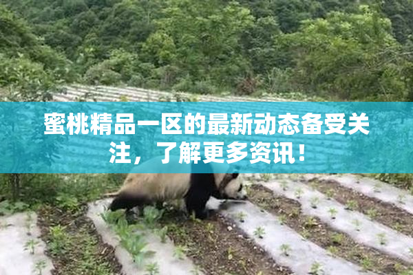 蜜桃精品一区的最新动态备受关注，了解更多资讯！