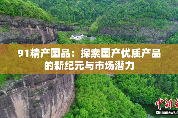 91精产国品：探索国产优质产品的新纪元与市场潜力