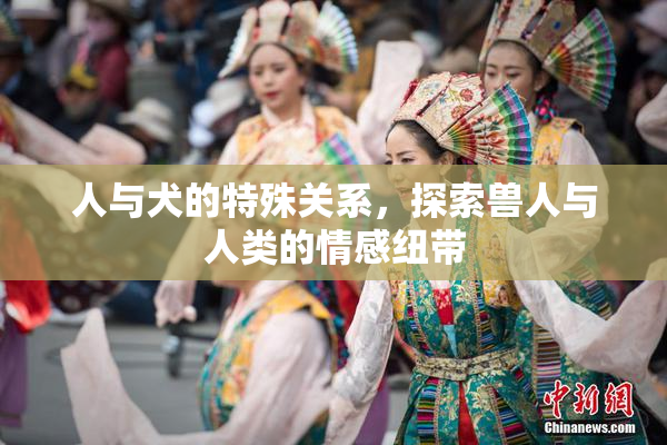 人与犬的特殊关系，探索兽人与人类的情感纽带