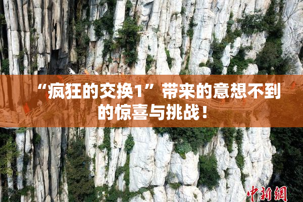 “疯狂的交换1”带来的意想不到的惊喜与挑战！