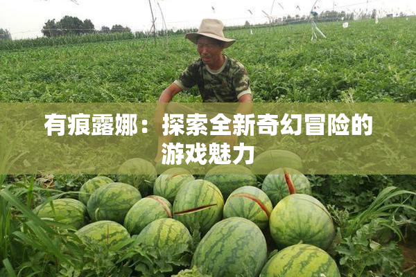 有痕露娜：探索全新奇幻冒险的游戏魅力