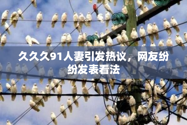 久久久91人妻引发热议，网友纷纷发表看法