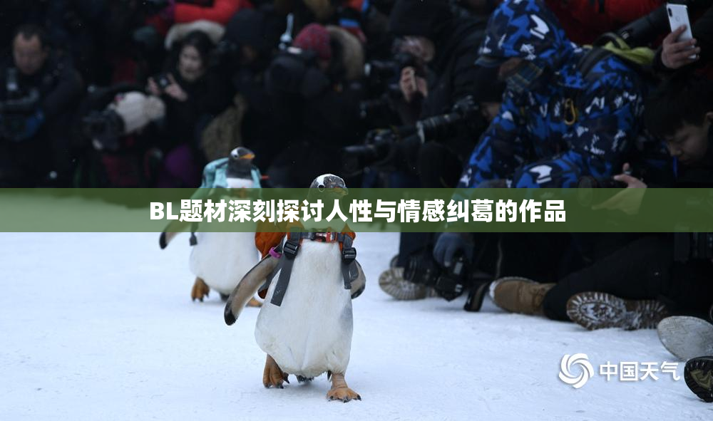 BL题材深刻探讨人性与情感纠葛的作品