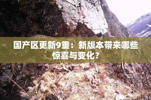 国产区更新9重：新版本带来哪些惊喜与变化？