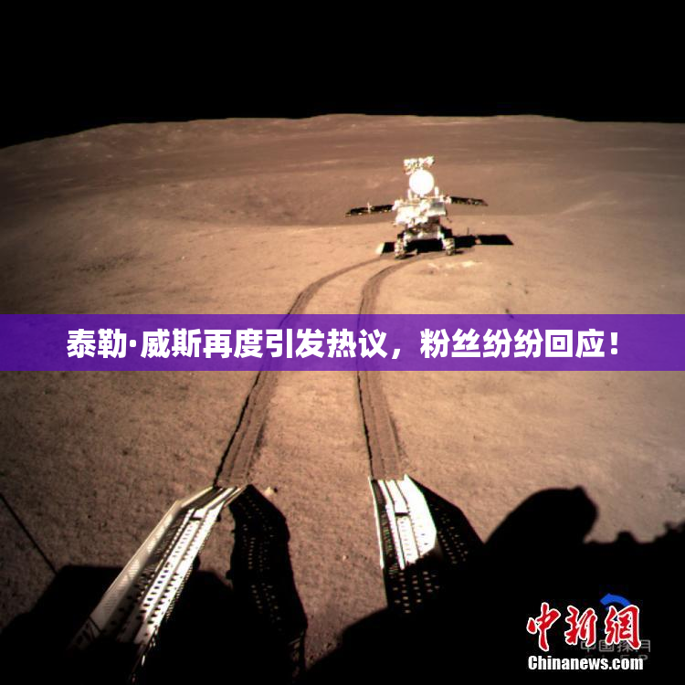 泰勒·威斯再度引发热议，粉丝纷纷回应！