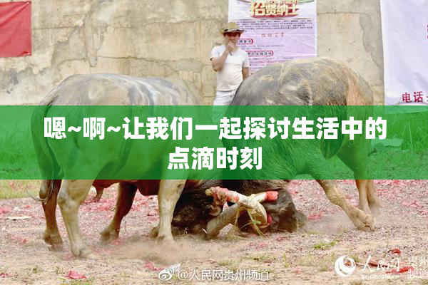 嗯~啊~让我们一起探讨生活中的点滴时刻
