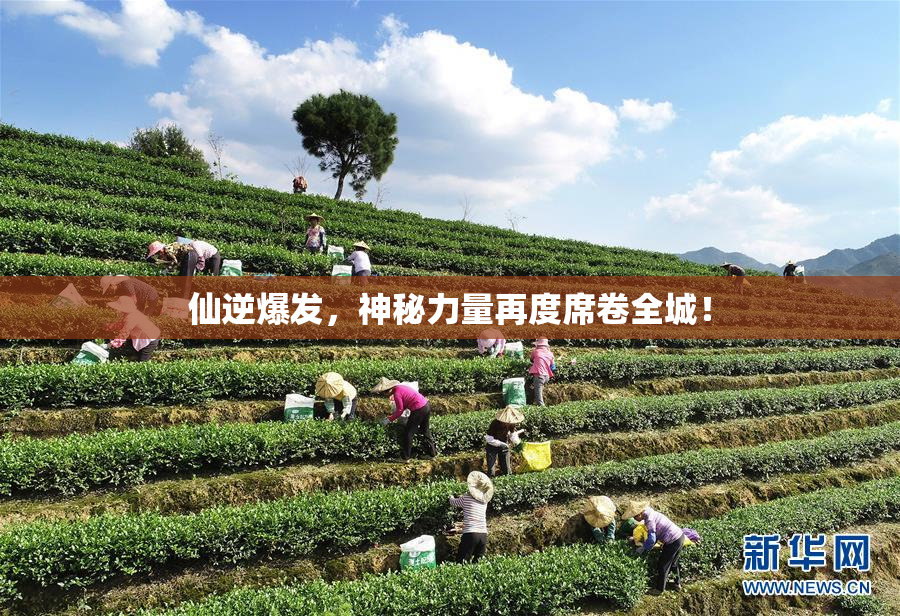 仙逆爆发，神秘力量再度席卷全城！