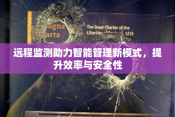 远程监测助力智能管理新模式，提升效率与安全性