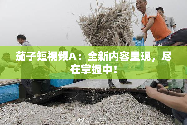 茄子短视频A：全新内容呈现，尽在掌握中！