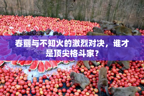 春丽与不知火的激烈对决，谁才是顶尖格斗家？