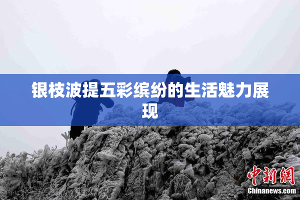 银枝波提五彩缤纷的生活魅力展现