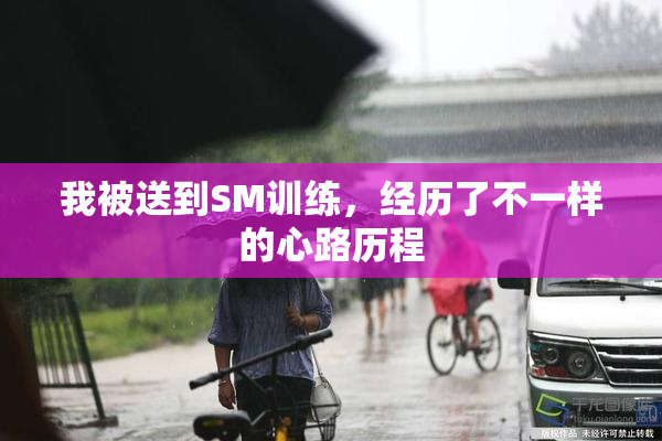 我被送到SM训练，经历了不一样的心路历程