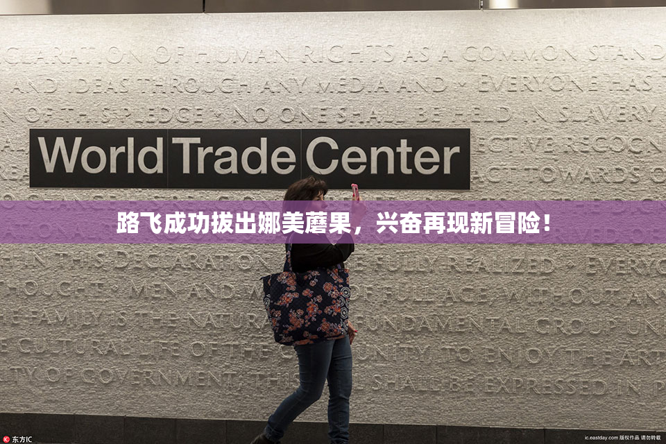 路飞成功拔出娜美蘑果，兴奋再现新冒险！