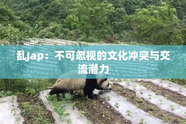 乱Jap：不可忽视的文化冲突与交流潜力