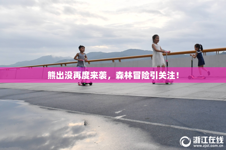 熊出没再度来袭，森林冒险引关注！