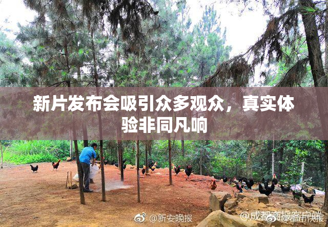 新片发布会吸引众多观众，真实体验非同凡响