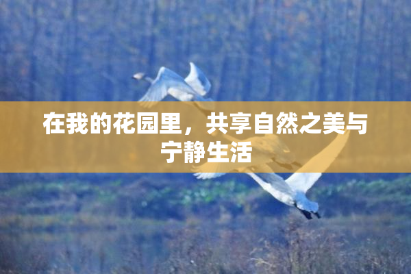 在我的花园里，共享自然之美与宁静生活