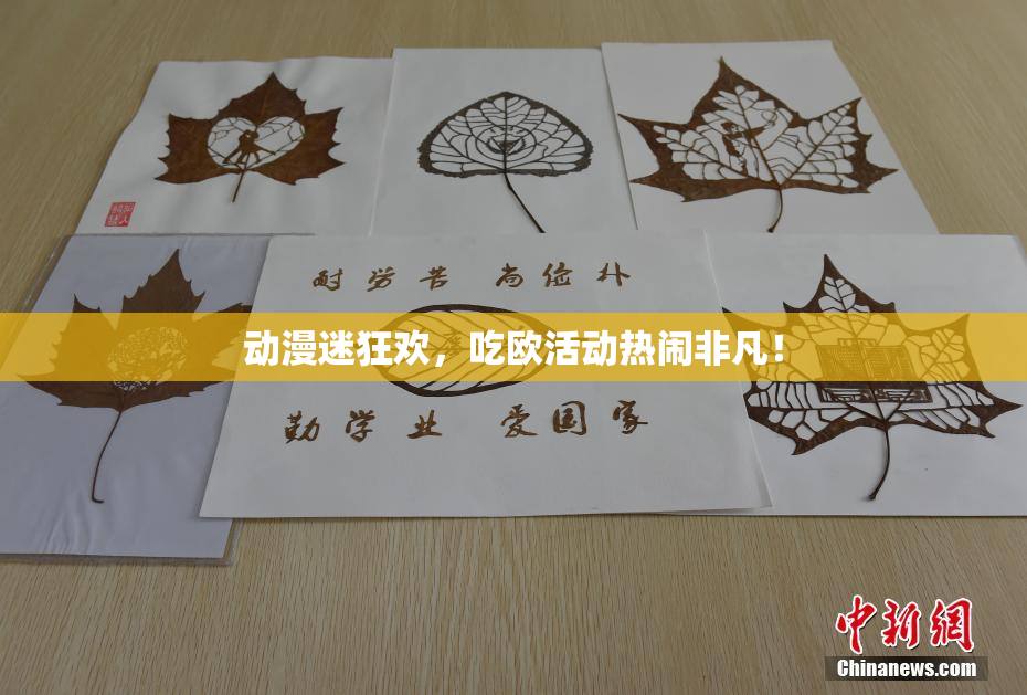 动漫迷狂欢，吃欧活动热闹非凡！