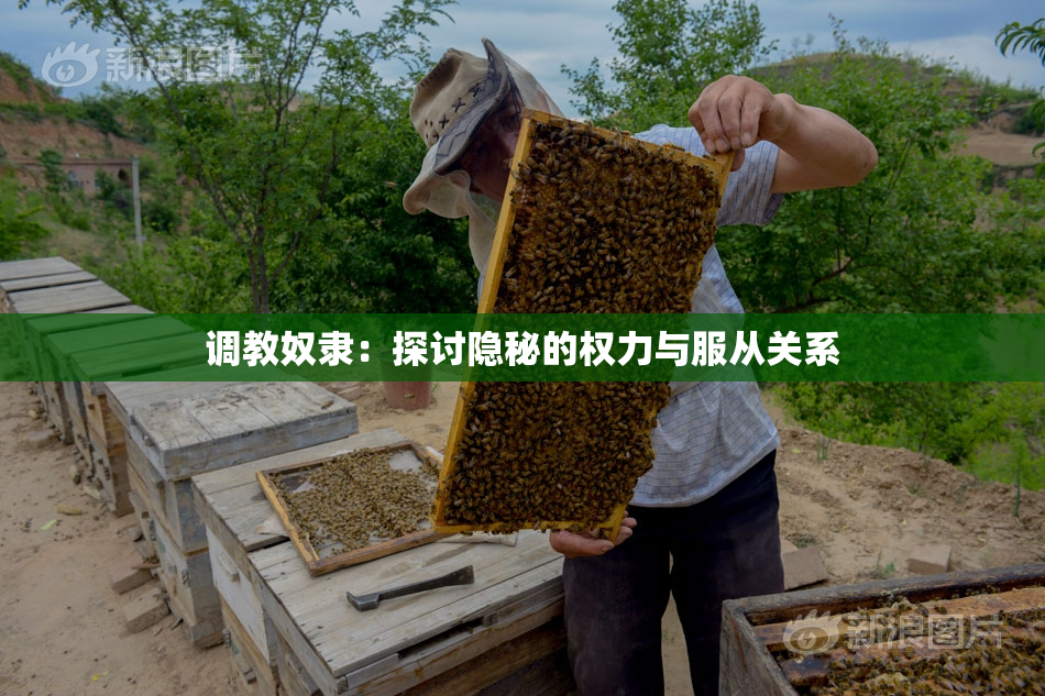 调教奴隶：探讨隐秘的权力与服从关系