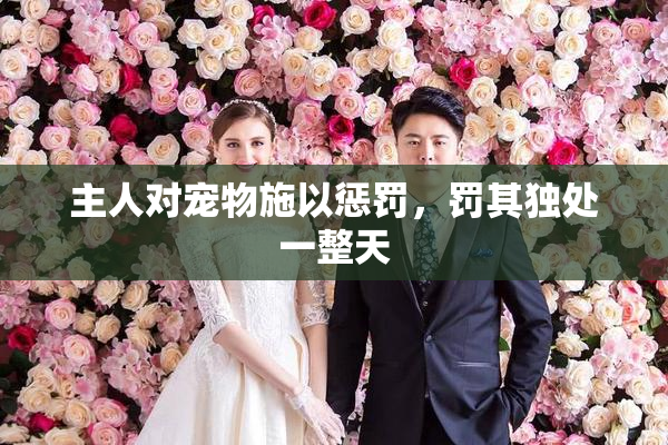 主人对宠物施以惩罚，罚其独处一整天