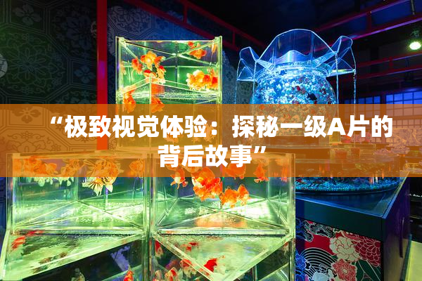 “极致视觉体验：探秘一级A片的背后故事”