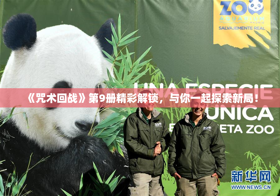 《咒术回战》第9册精彩解锁，与你一起探索新局！
