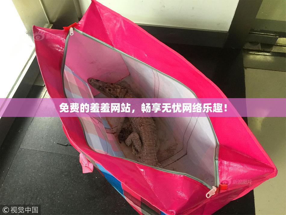 免费的羞羞网站，畅享无忧网络乐趣！
