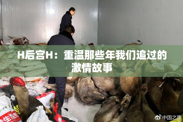 H后宫H：重温那些年我们追过的激情故事