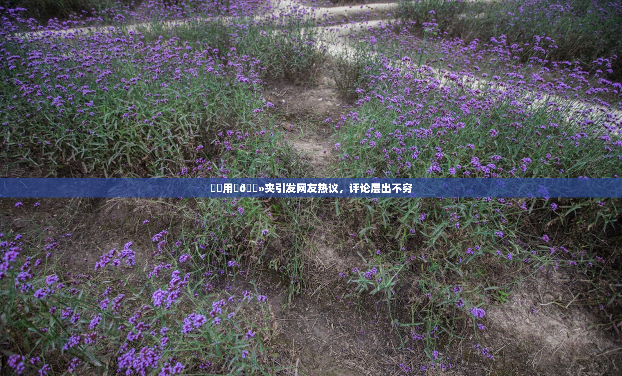 妺妺用‌🐻夹引发网友热议，评论层出不穷
