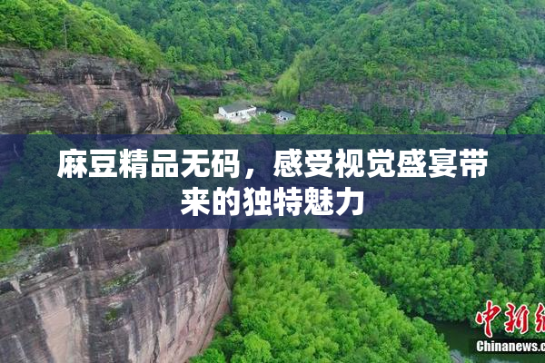 麻豆精品无码，感受视觉盛宴带来的独特魅力